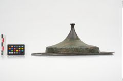 Foto von Bronzephalere (NHMW-PRAE-025824)